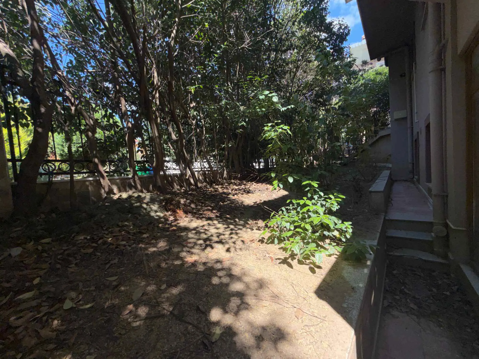 Property image 53