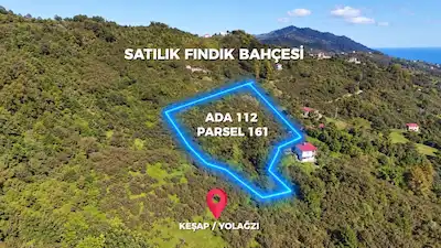 RE/MAX NADİR’DEN KEŞAP YOLAĞZI’NDA SAHİLE YAKIN 8 DÖNÜM BAHÇE
