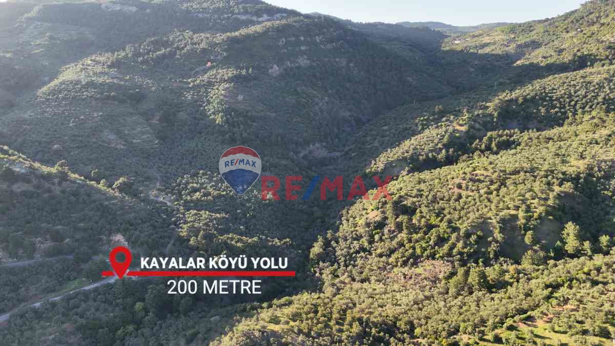 ÇANAKKALE AYVACIK AHMETÇE KÖYÜ'NDE SATILIK ZEYTINLIK - 4.838 M²