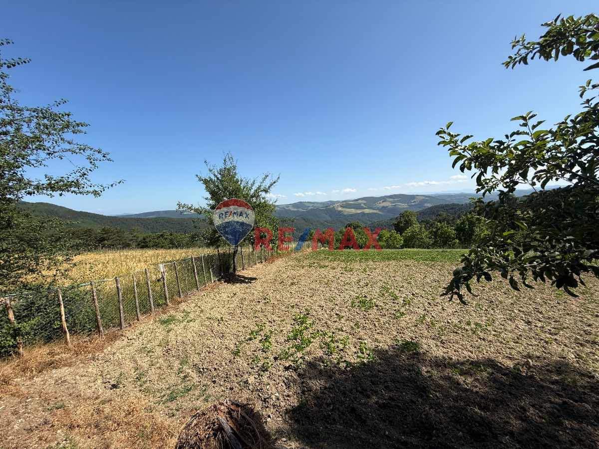 REMAX ŞAHIN'DEN FIRSAT YATIRIMLIK 2.316 M2 TARLA