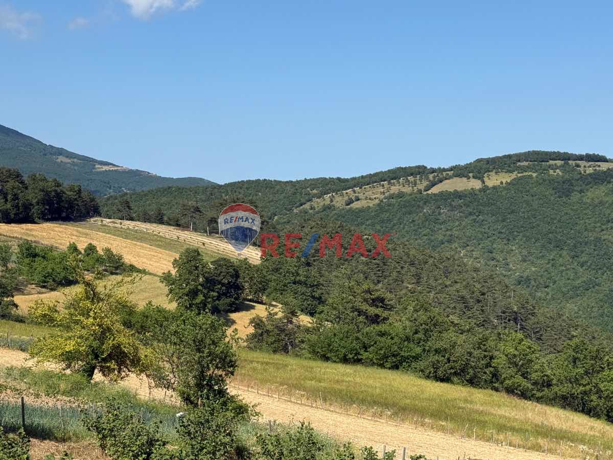 REMAX ŞAHIN'DEN FIRSAT YATIRIMLIK 2.316 M2 TARLA