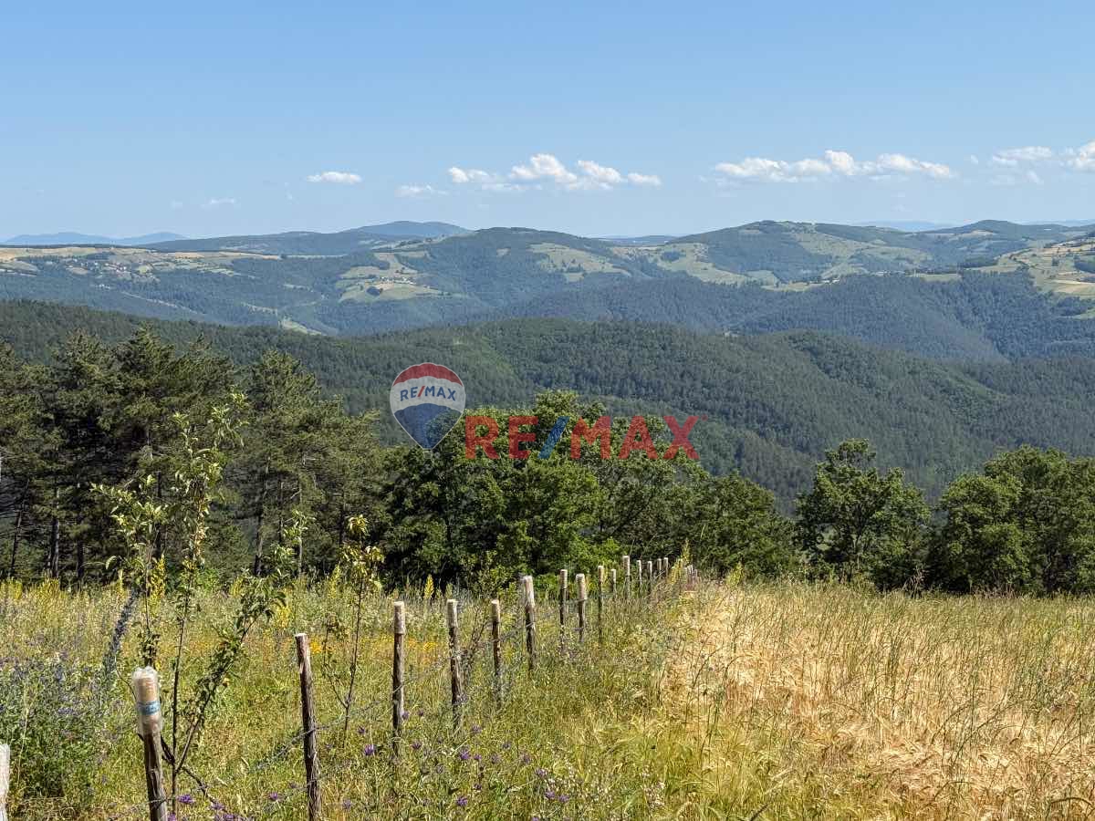 REMAX ŞAHIN'DEN FIRSAT YATIRIMLIK 2.316 M2 TARLA