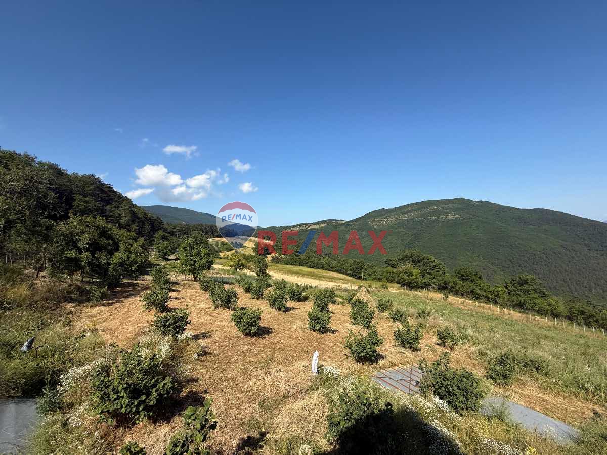 REMAX ŞAHIN'DEN FIRSAT YATIRIMLIK 2.316 M2 TARLA