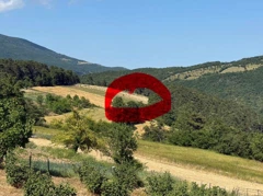 REMAX ŞAHIN'DEN FIRSAT YATIRIMLIK 2.316 M2 TARLA