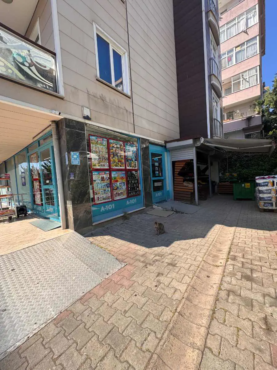 Property image 16