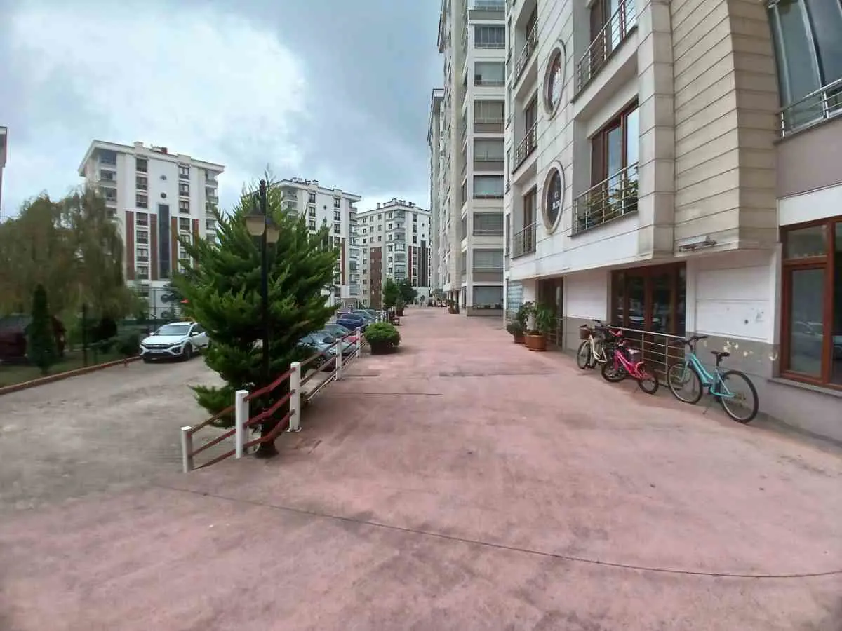 Property image 24