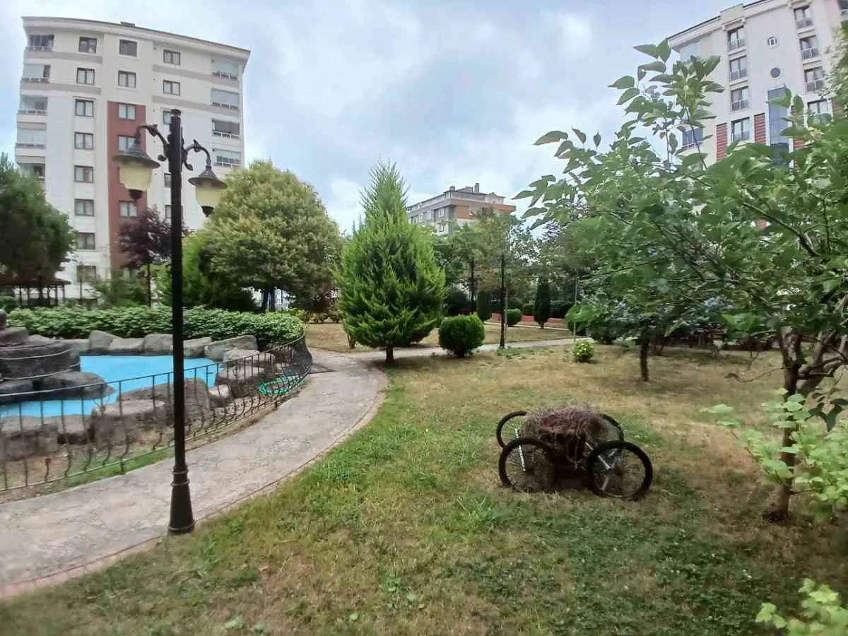 Property image 17