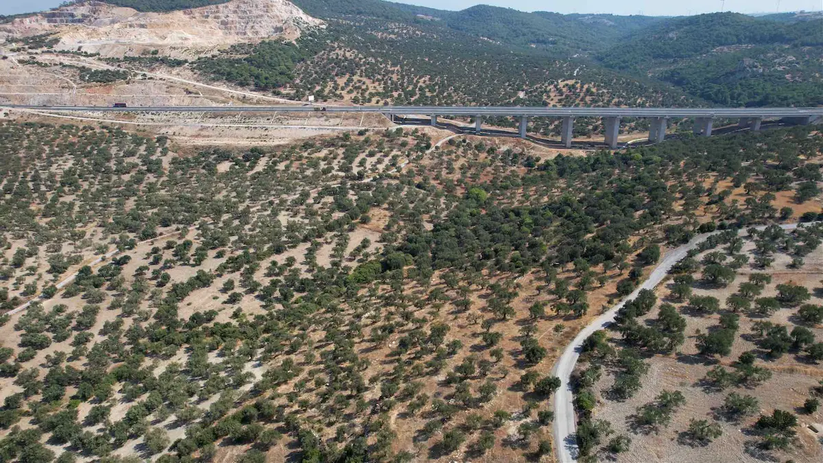 ALIAĞA ŞAKRAN'DA ASFALT YOLA CEPHELI MÜSTAKIL ZEYTINLIK