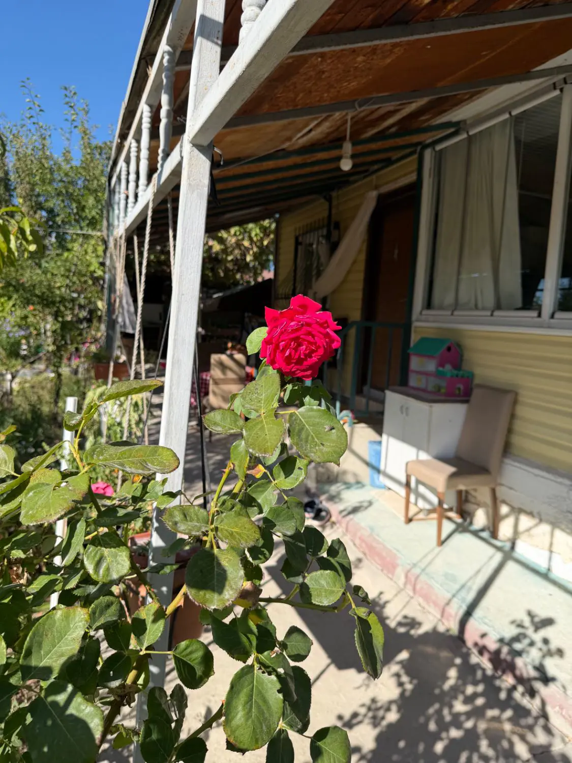 Property image 41