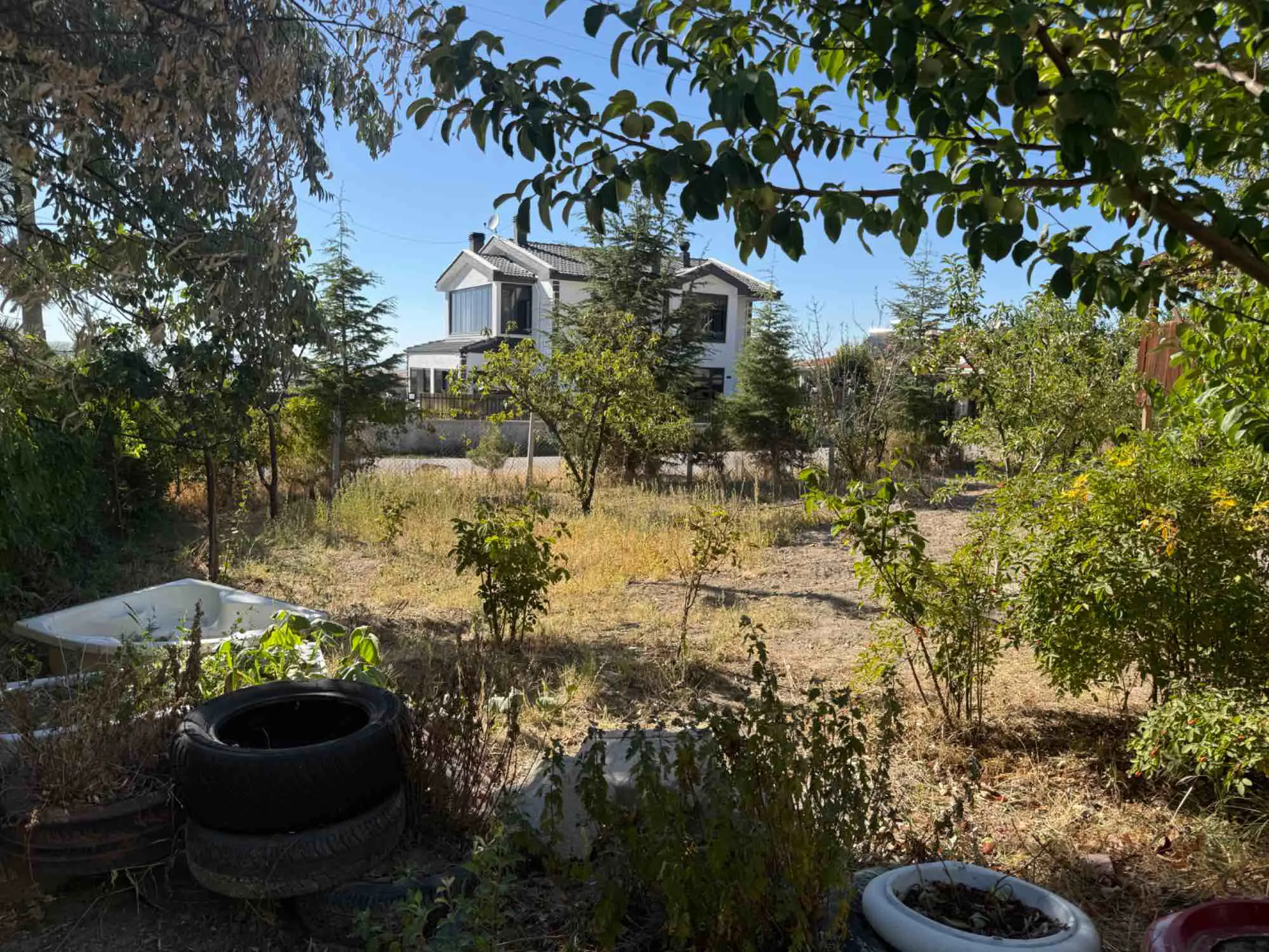Property image 22