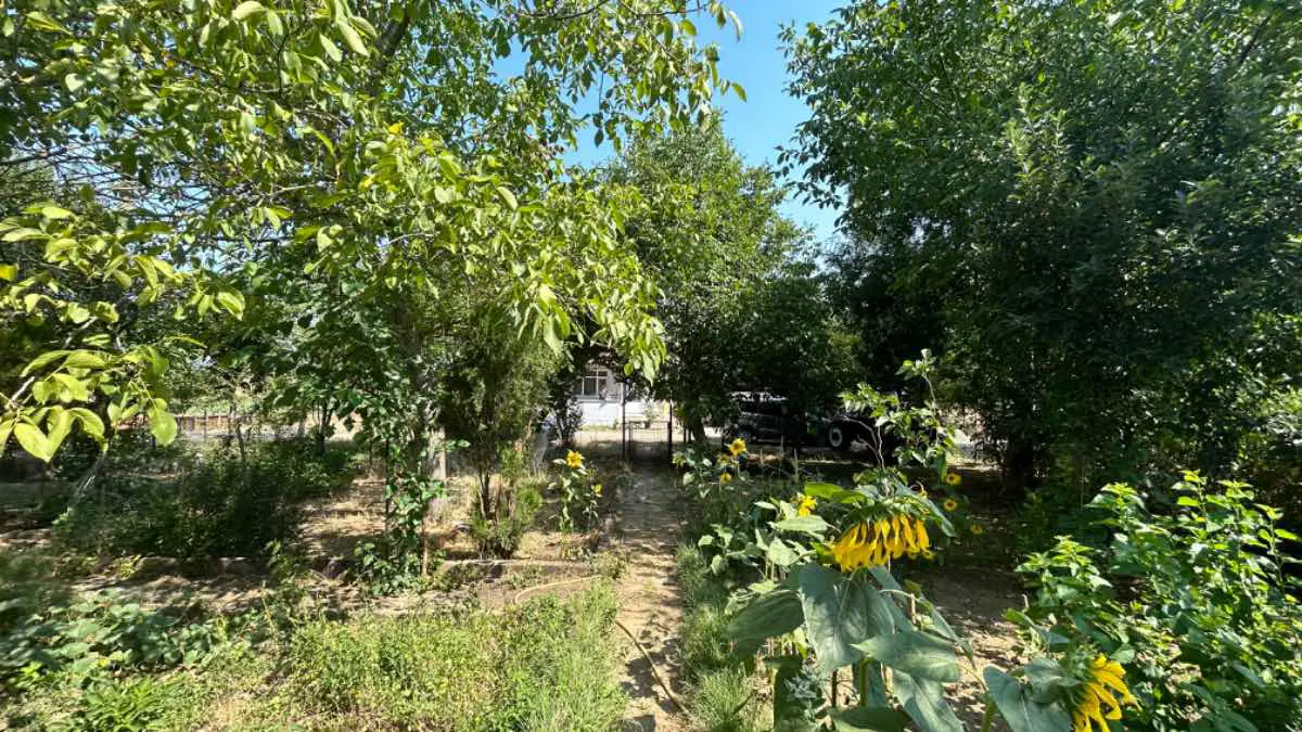 Property image 23
