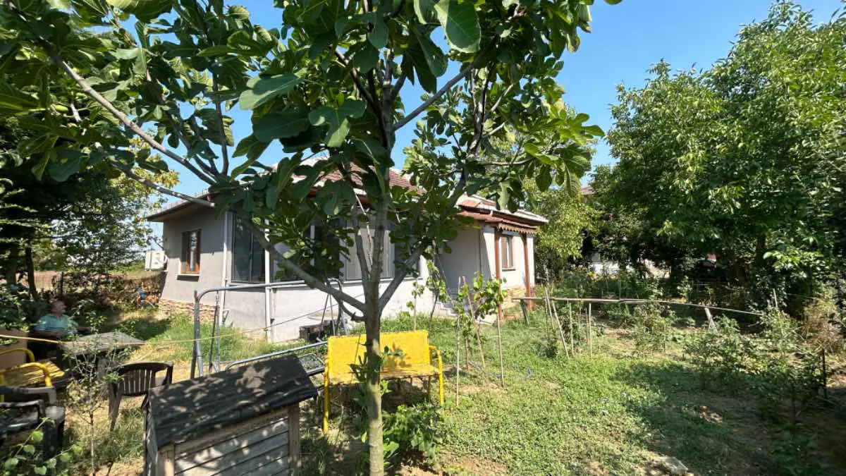 Property image 6