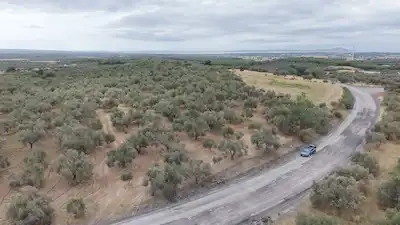 ÇANAKKALE EZİNE ÜVECİK KÖYÜ'NDE YOLA SIFIR 4.650 M2 ZEYTİNLİK