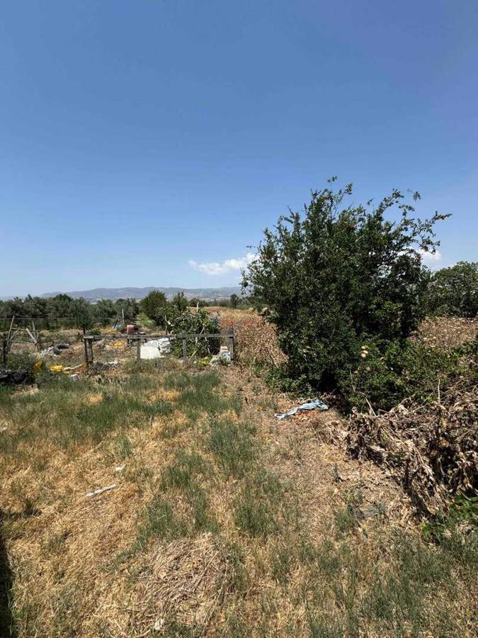 KORUCUK BESİHANELER BÖLGESİNDE TARLA AÇIKLAMAYA DİKKAT