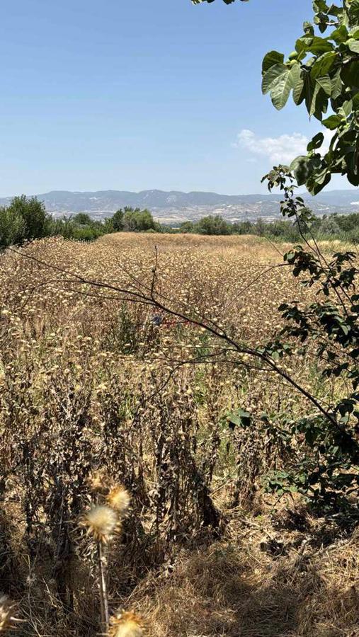 KORUCUK BESİHANELER BÖLGESİNDE TARLA AÇIKLAMAYA DİKKAT