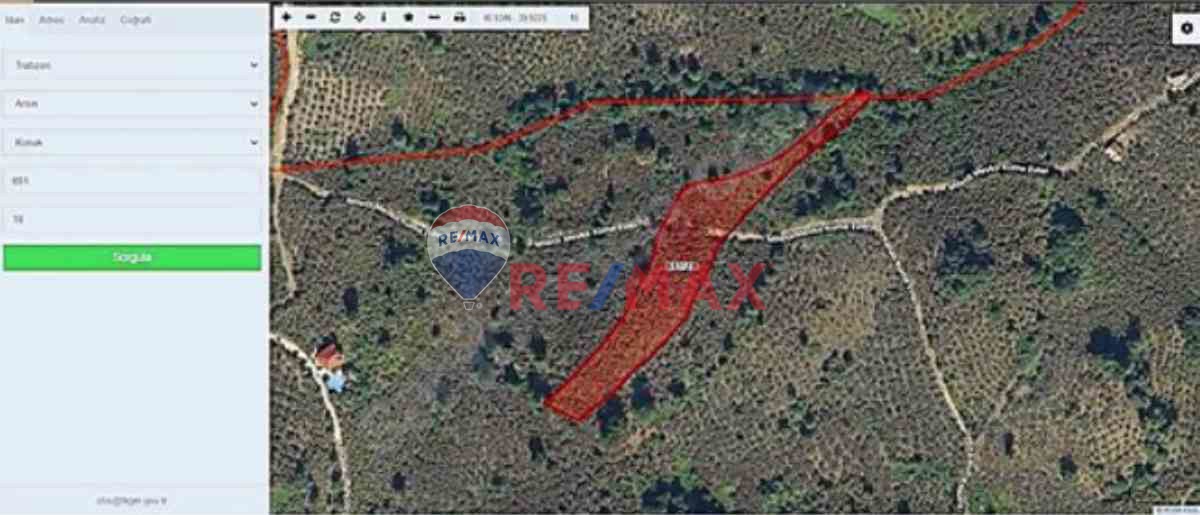 TRABZON ARSIN KONAK'TA SATILIK FINDIK BAHÇESI