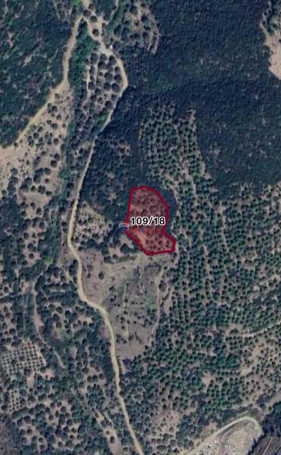 İZMİR ÖDEMİŞ GÖLCÜK TE SATILIK ZEYTİN BAHÇESİ