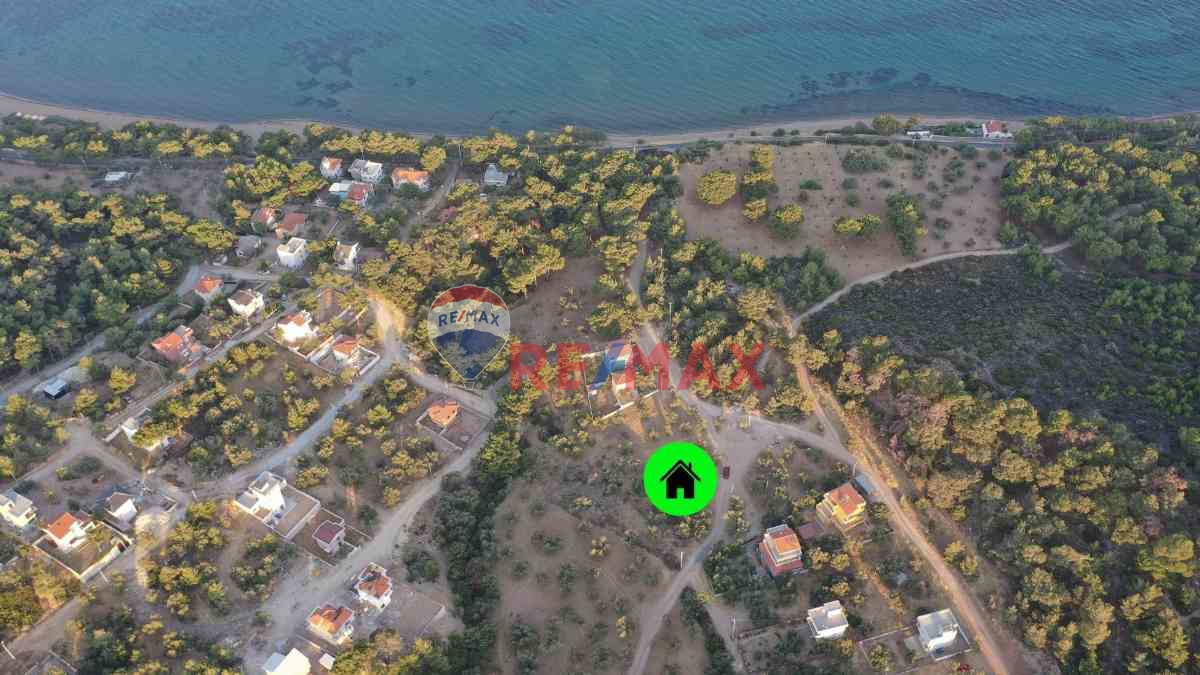 ÇANAKKALE EZİNE TAVAKLI KÖYÜ'NDE 339M2 İMARLI SATILIK ARSA