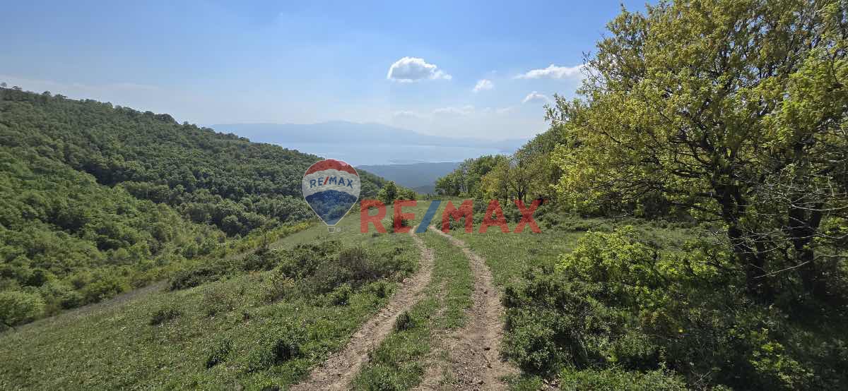 İZNİK GÖLÜ MANZARALI BURSA ORHANGAZİ KERAMETTE 9.785M2 TARLA ARAZİ