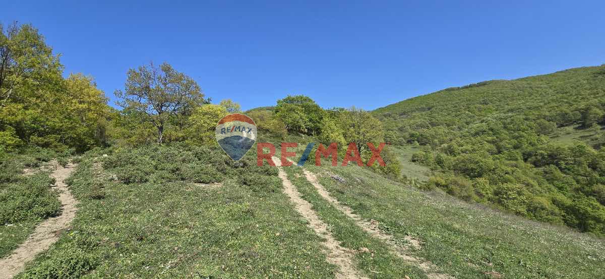 İZNİK GÖLÜ MANZARALI BURSA ORHANGAZİ KERAMETTE 9.785M2 TARLA ARAZİ