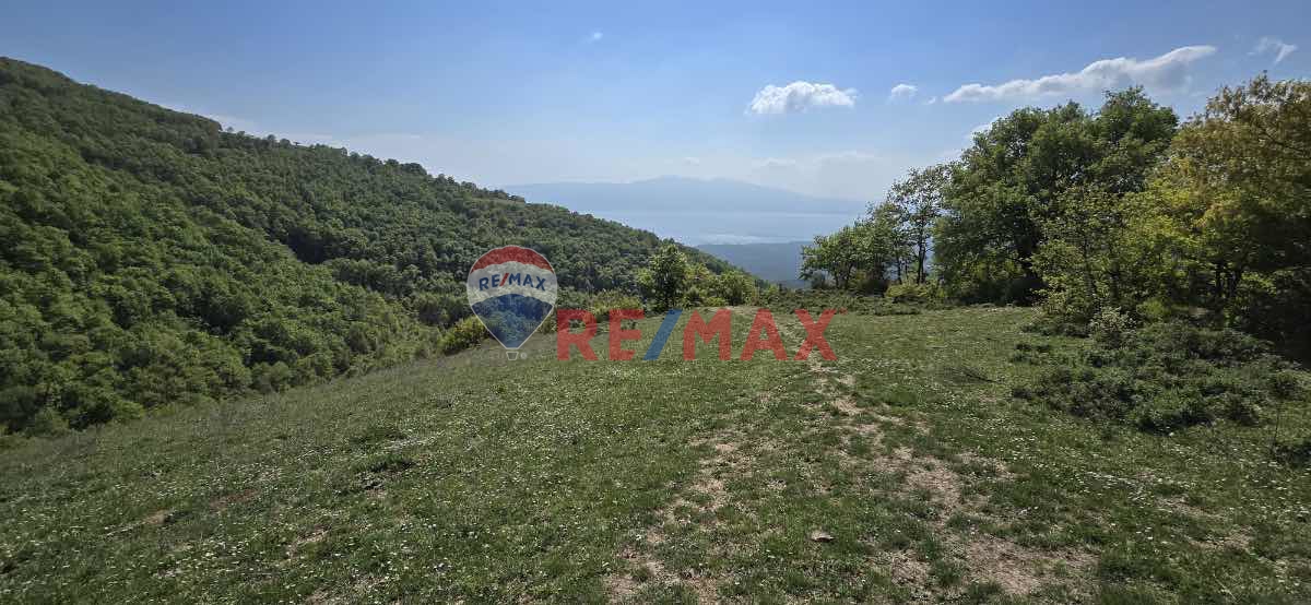 İZNİK GÖLÜ MANZARALI BURSA ORHANGAZİ KERAMETTE 9.785M2 TARLA ARAZİ