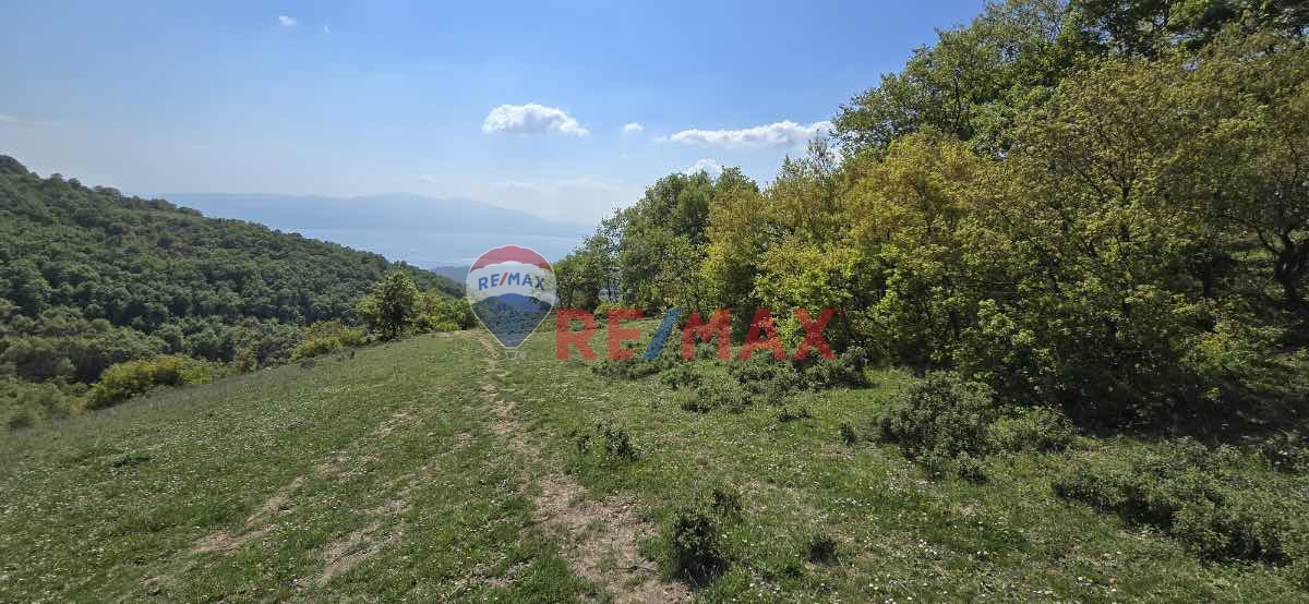 İZNİK GÖLÜ MANZARALI BURSA ORHANGAZİ KERAMETTE 9.785M2 TARLA ARAZİ