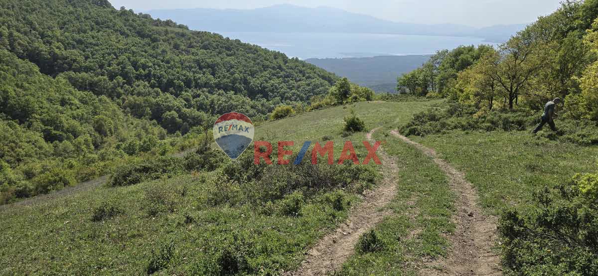 İZNİK GÖLÜ MANZARALI BURSA ORHANGAZİ KERAMETTE 9.785M2 TARLA ARAZİ