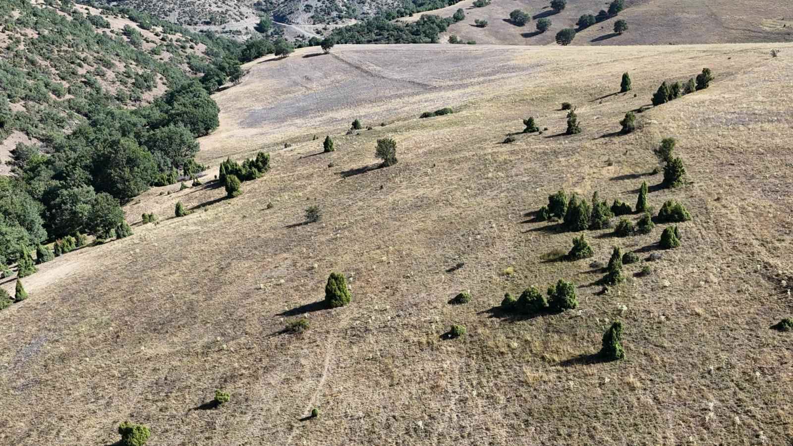 REMAX ERDAL TURAN'DAN BİLECİK SÖĞÜT'TE 2260M2 MÜSTAKİL ARAZİ