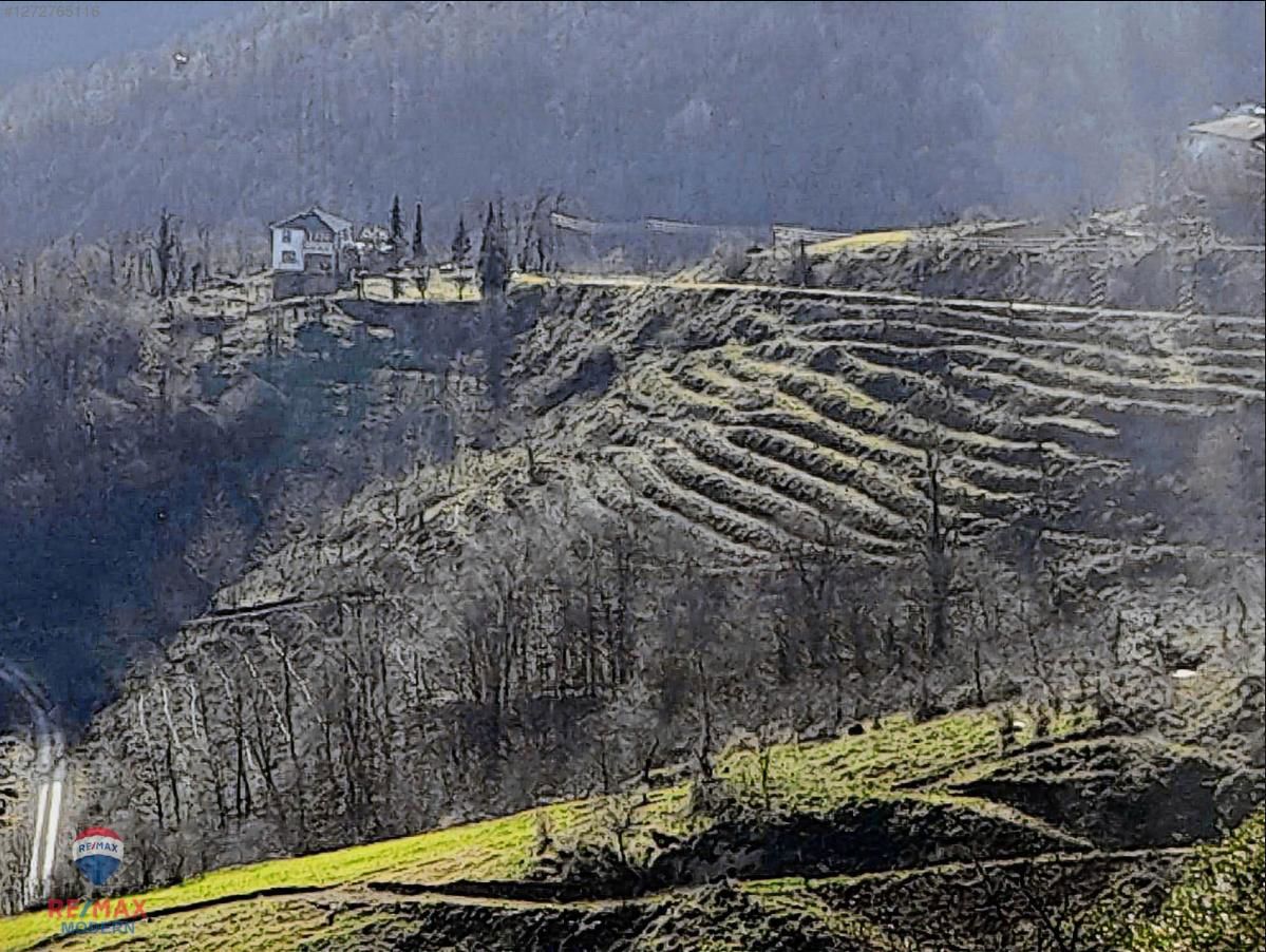 SATILIK TARLA | CANİK KAŞYAYLA MAHALLESİ