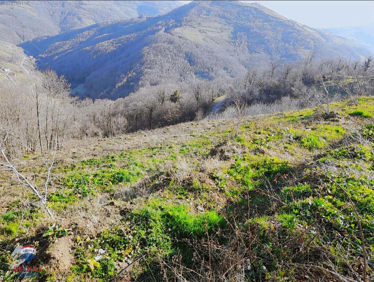 SATILIK TARLA | CANİK KAŞYAYLA MAHALLESİ