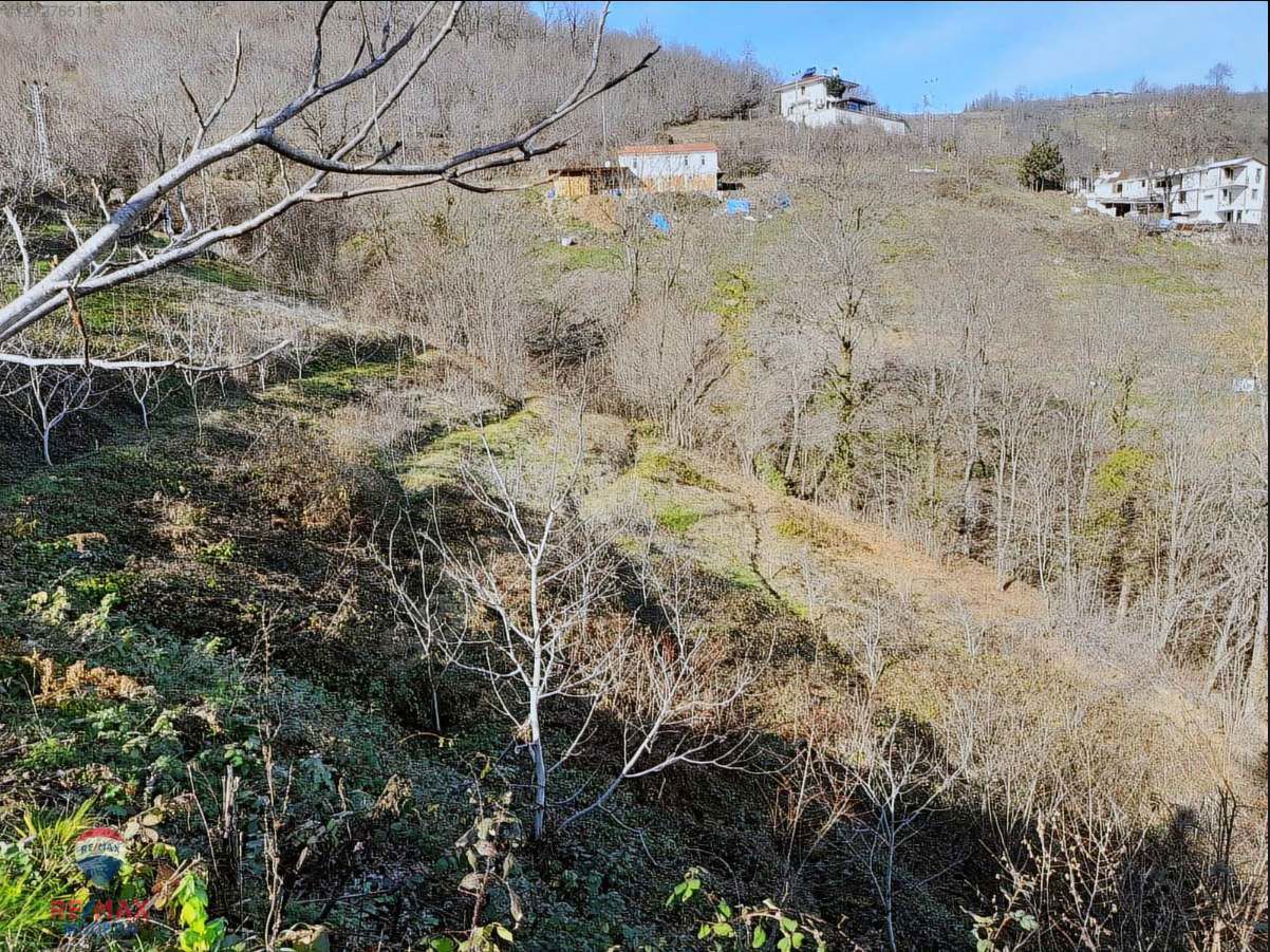 SATILIK TARLA | CANİK KAŞYAYLA MAHALLESİ