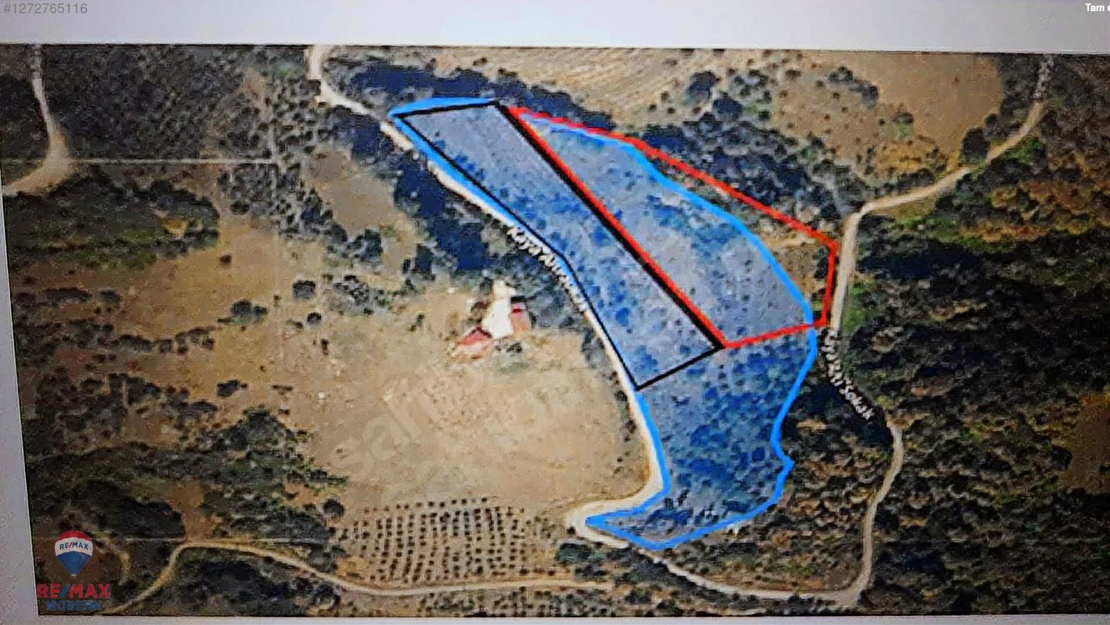 SATILIK TARLA | CANİK KAŞYAYLA MAHALLESİ