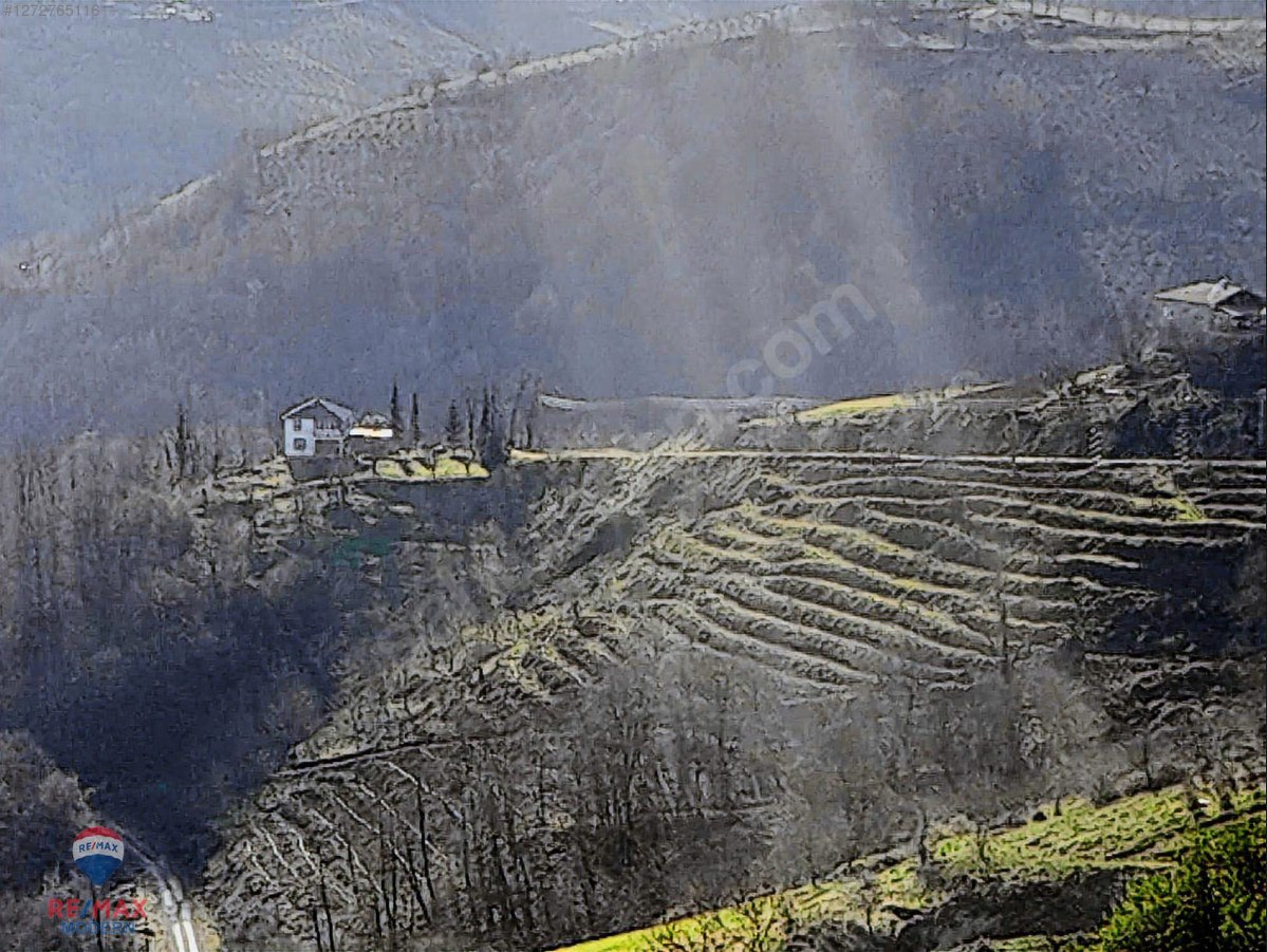 SATILIK TARLA | CANİK KAŞYAYLA MAHALLESİ