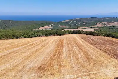 REMAX BEYAZ MUDANYA EĞERCE'DE YATIRIMLIK  FULL DENIZ MANZARALI ARAZI