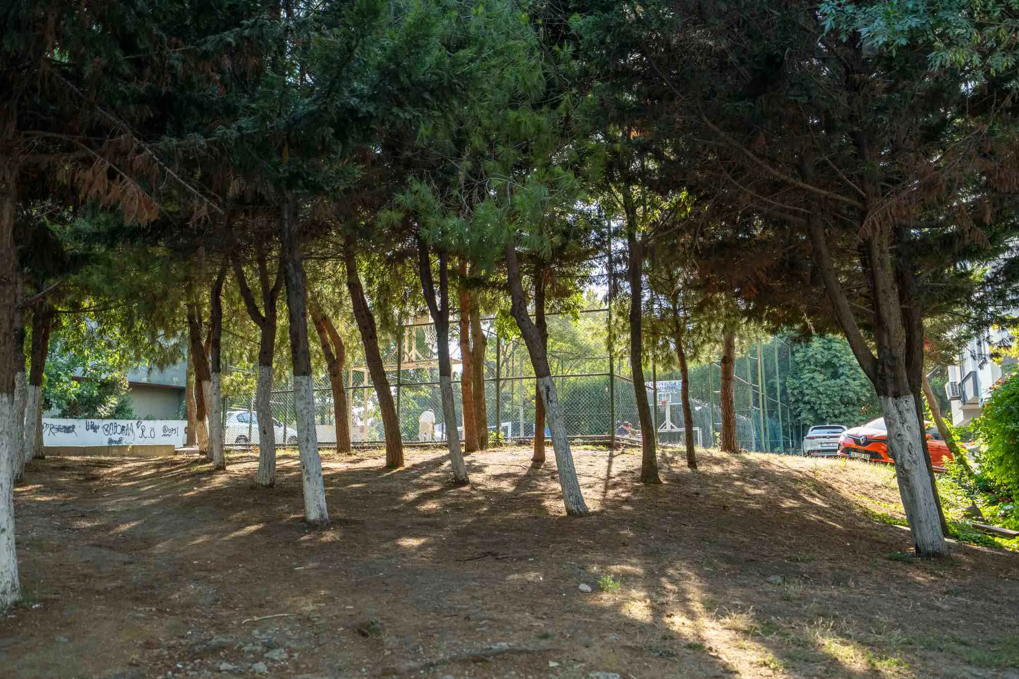 Property image 23