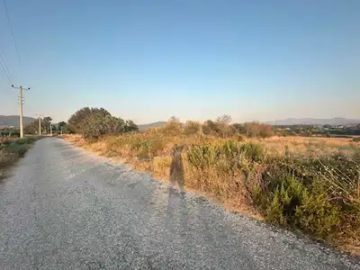 BODRUM ÇÖMLEKÇİDE YOL KENARINDA ASFALTA SIFIR 25.260 M² TARLA