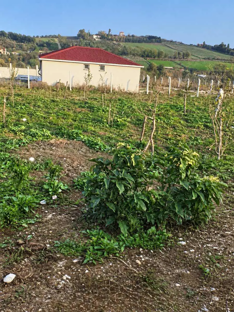 Property image 10