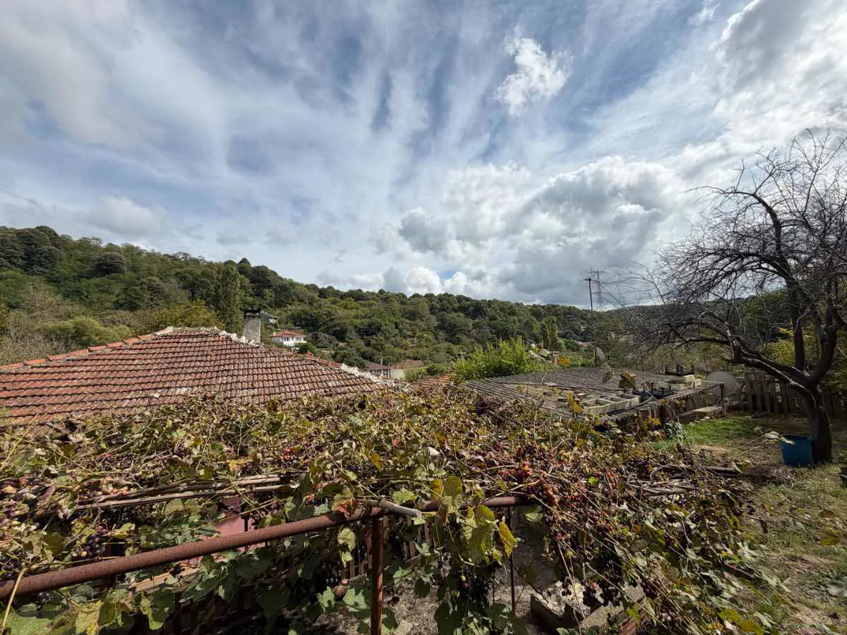 Property image 29