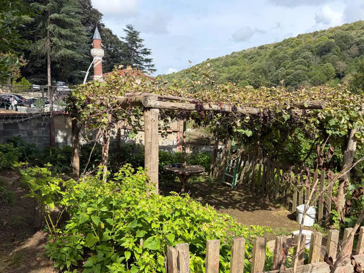 Property image 24