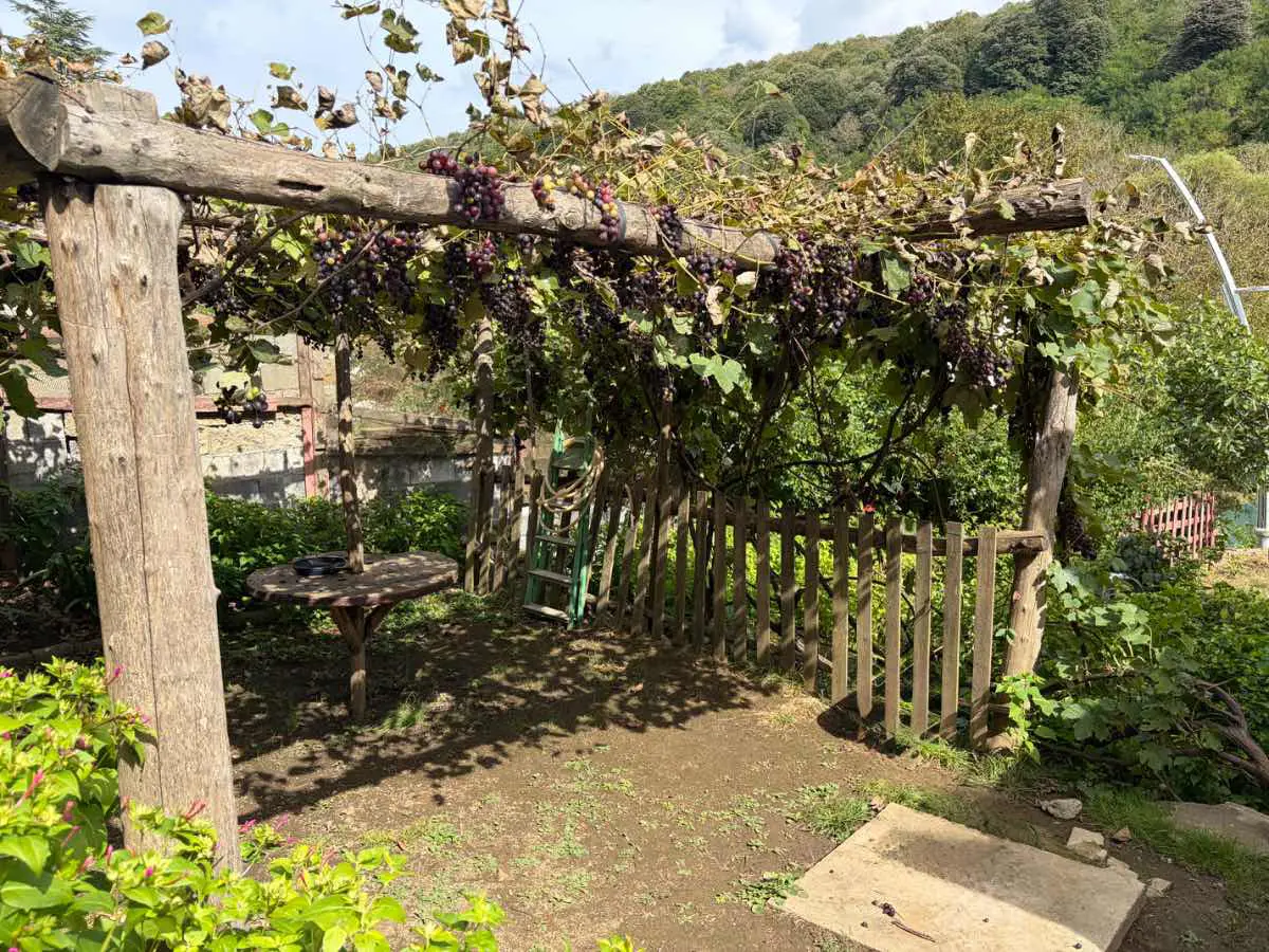 Property image 26