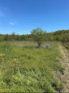 DILEK ERCAN REMAX ÇAKRA KANDIRA KOCAKAYMAZ'DA 1.500 M² TARLA