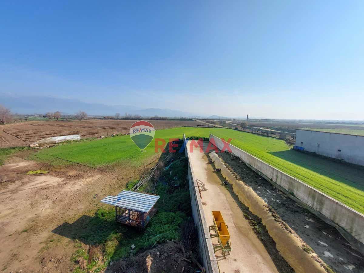 ÖDEMIŞ'DE 35781 M2 SATILIK ÇIFTLIK