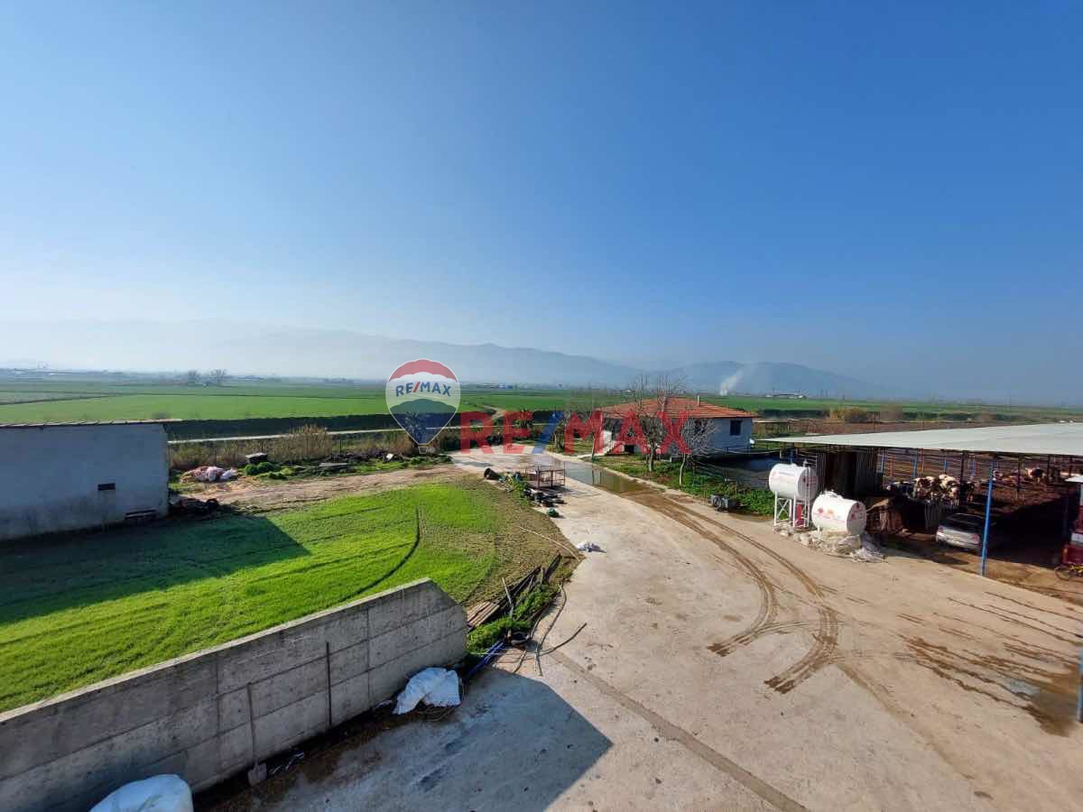 ÖDEMIŞ'DE 35781 M2 SATILIK ÇIFTLIK