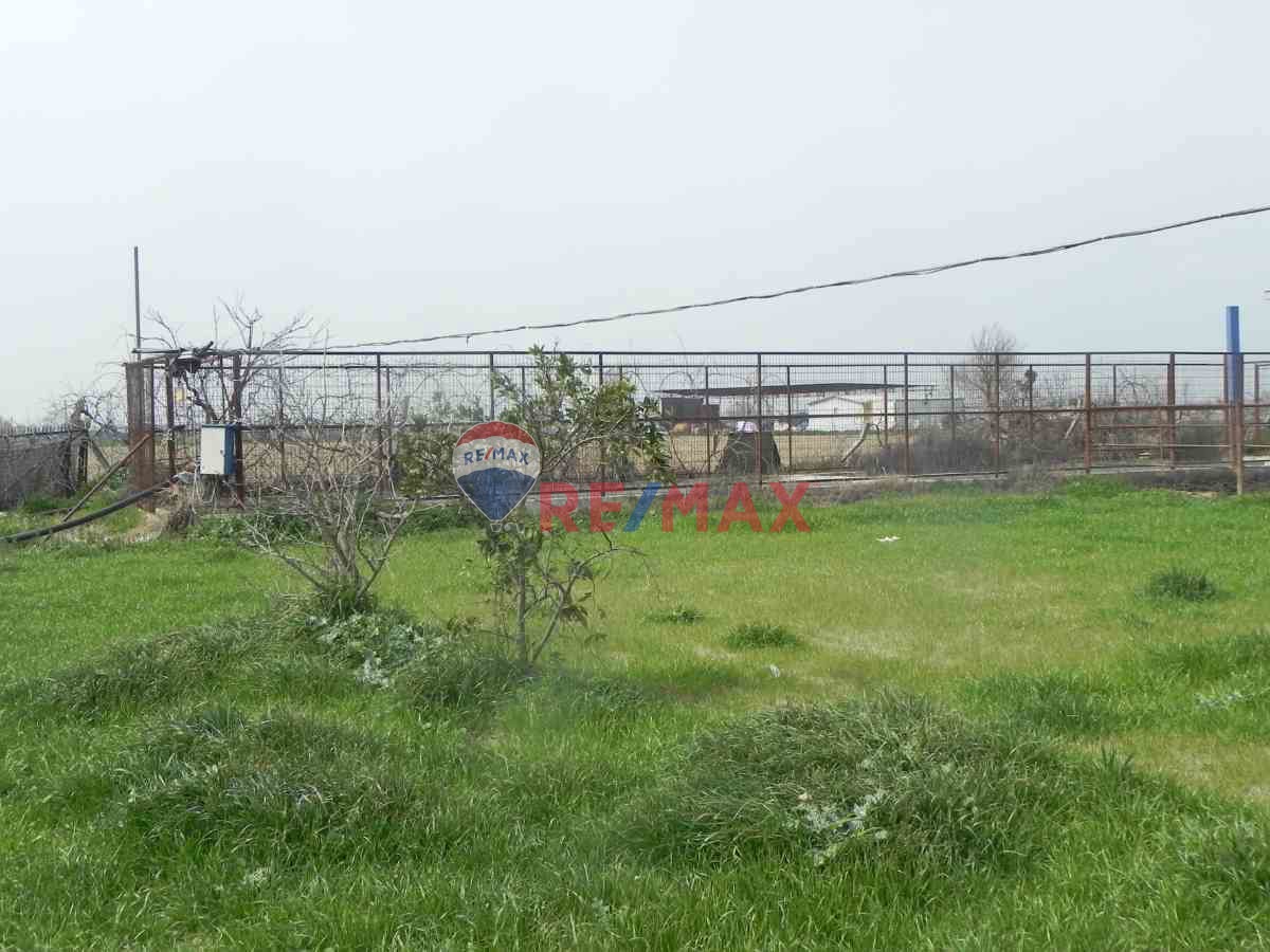 ÖDEMIŞ'DE 35781 M2 SATILIK ÇIFTLIK