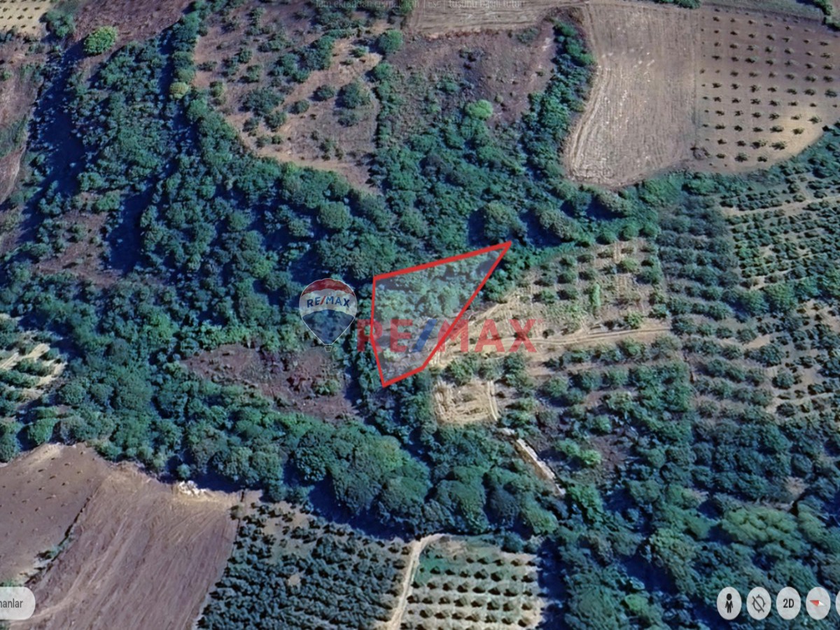 REMAX BEYAZ DEYDİNLER KÖYÜNDE 1591 M2 TARLA