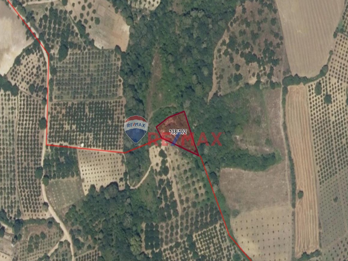 REMAX BEYAZ DEYDİNLER KÖYÜNDE 1591 M2 TARLA