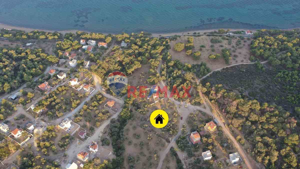 ÇANAKKALE EZİNE TAVAKLI KÖYÜ'NDE SATILIK İMARLI ARSA