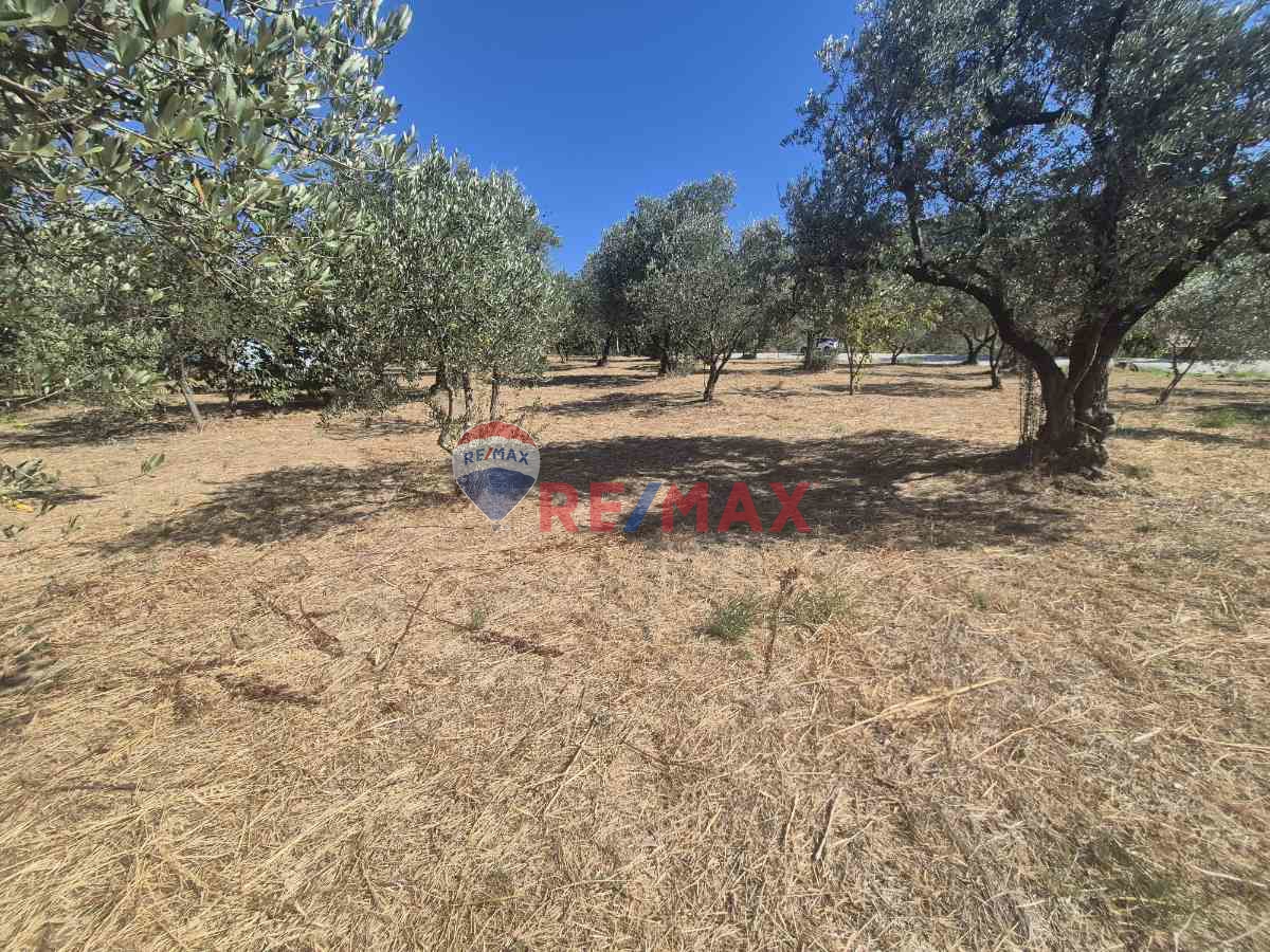 REMAX ÇARŞI'DAN KARAMÜRSEL'DE İMARLI ARSA