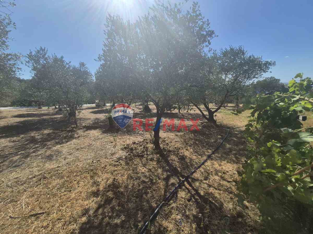 REMAX ÇARŞI'DAN KARAMÜRSEL'DE İMARLI ARSA