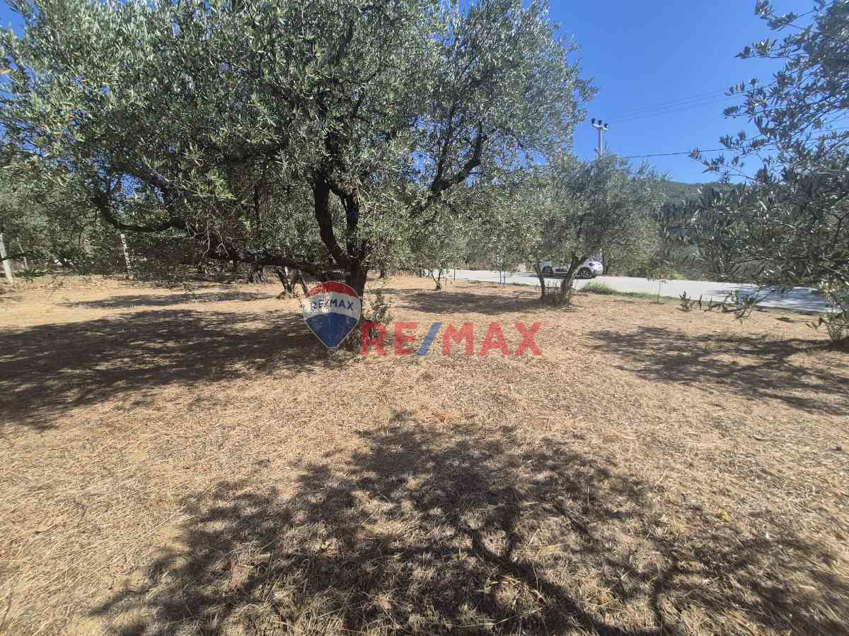 REMAX ÇARŞI'DAN KARAMÜRSEL'DE İMARLI ARSA